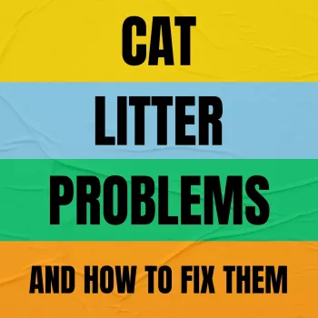 Fix Cat Litter Box Odor, Tracking, and Refusal Fast